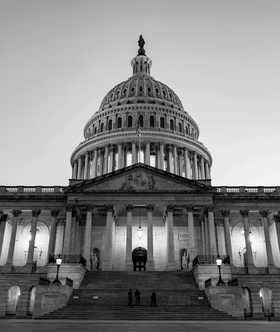 Data Governance Services
